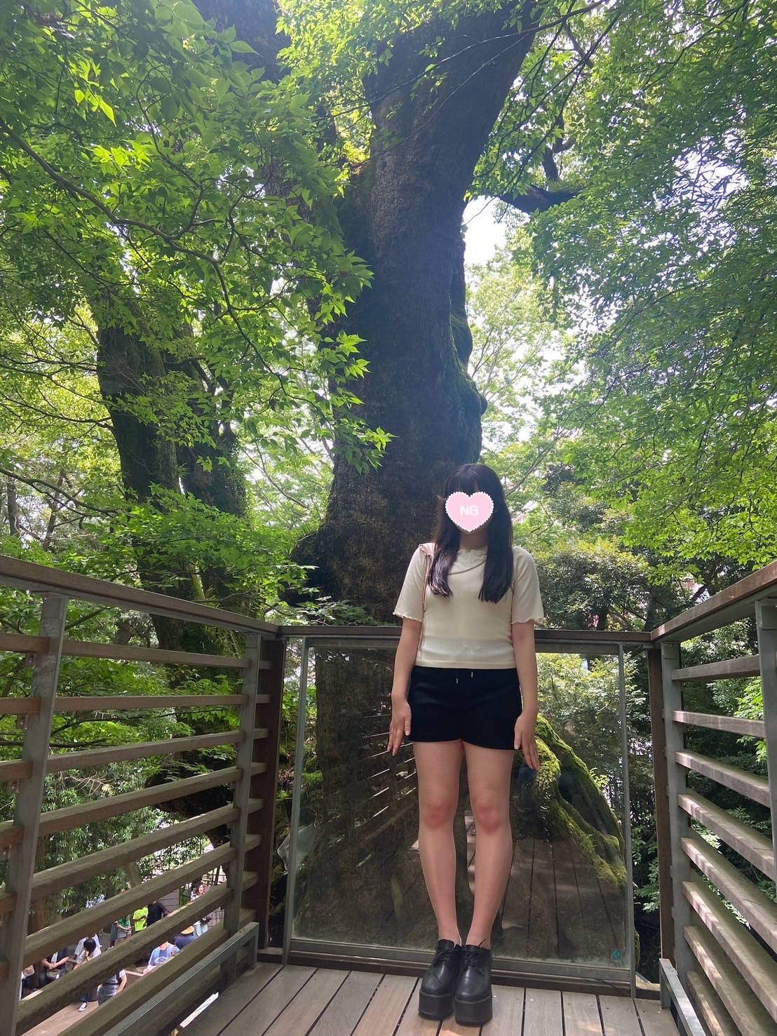 こより5